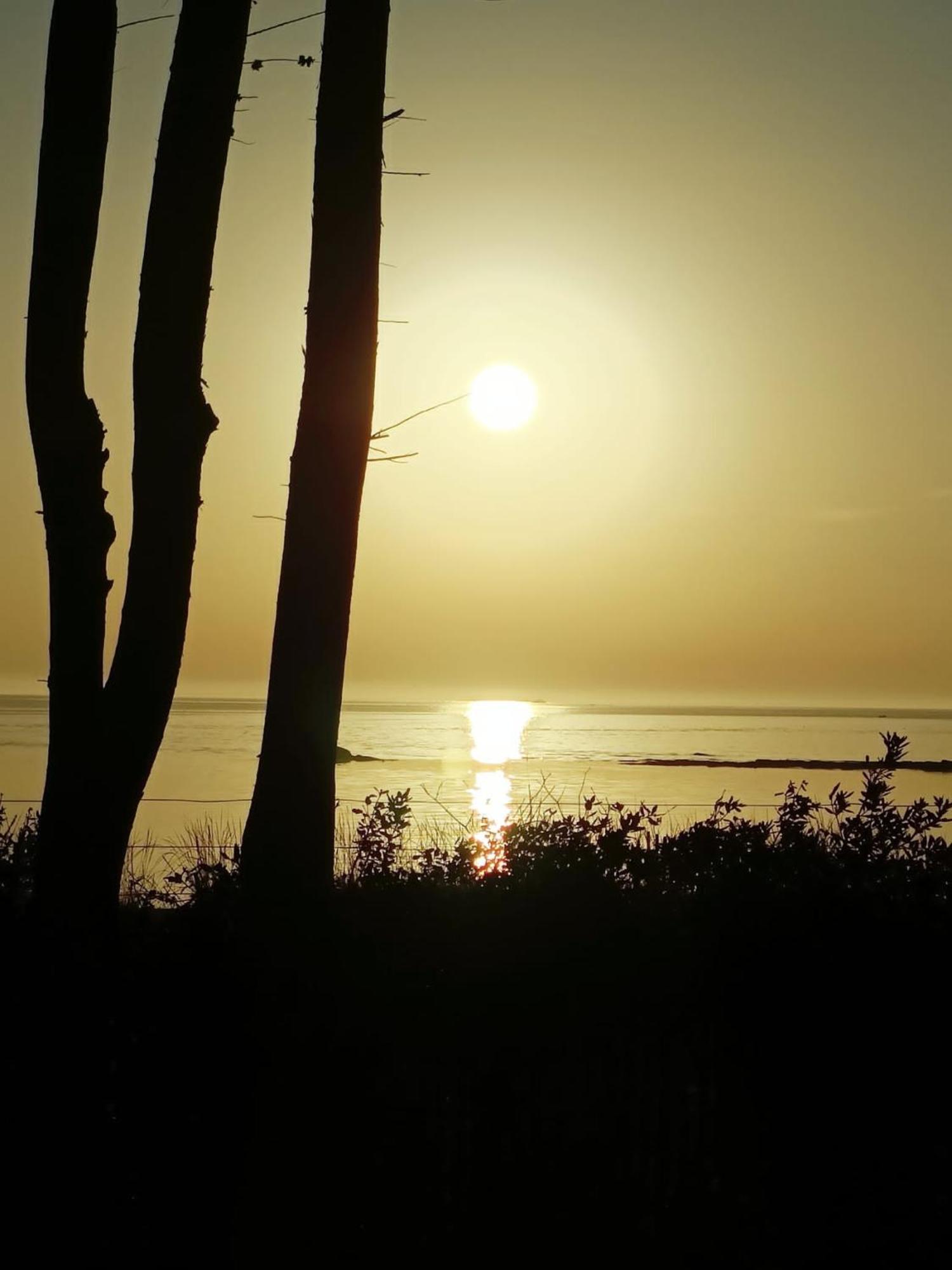 Mobilhomes Quiberon Camping Conguel - Bord De Mer Zewnętrze zdjęcie